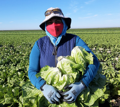 feb-FL - 6 - Lettuce Glean